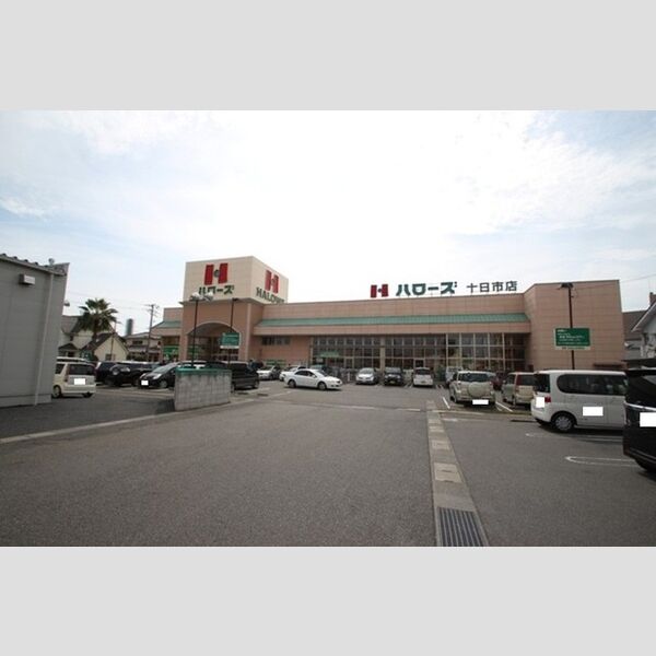 現地周辺 (ハローズ十日市店 794m)