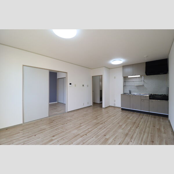 居室・リビング (203　LDK)