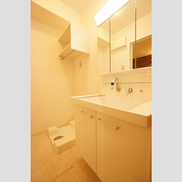 洗面所 (洗髪洗面化粧台)