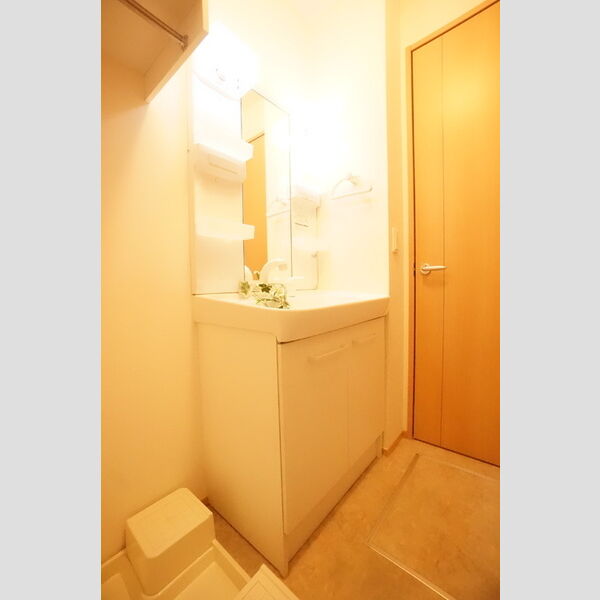 洗面所 (洗髪洗面化粧台)