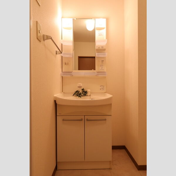 洗面所 (洗髪洗面化粧台)