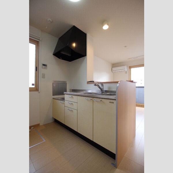 キッチン (D101 キッチン)