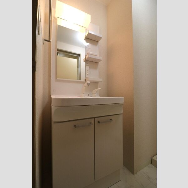 洗面所 (洗髪洗面化粧台)