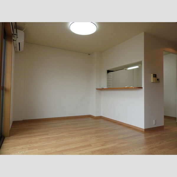 居室・リビング (A201　LDK)