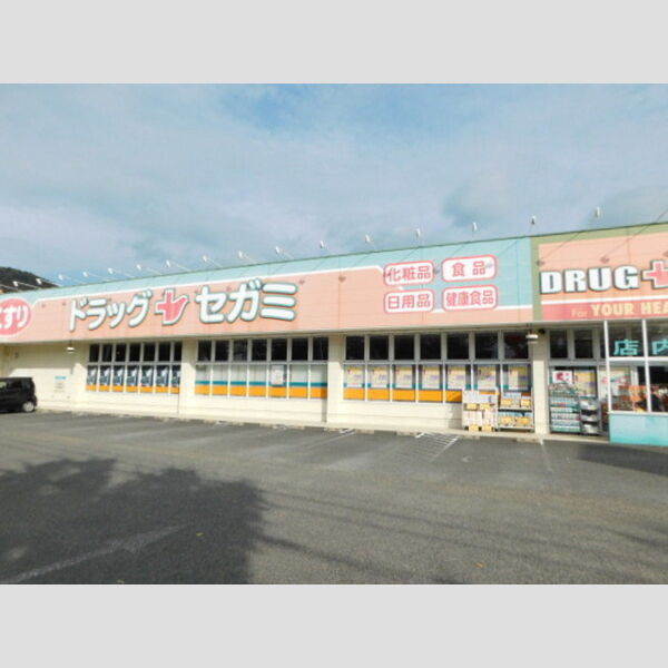 現地周辺 (ドラッグセガミ栗林南店(792m))