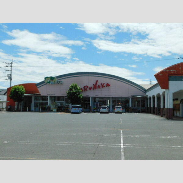 現地周辺 (マルナカ伏石店(515m))