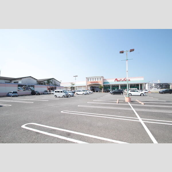 現地周辺 (マルナカ水田店(525m))