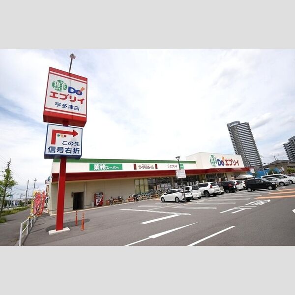 現地周辺 (業務スーパーエブリイ宇多津店)