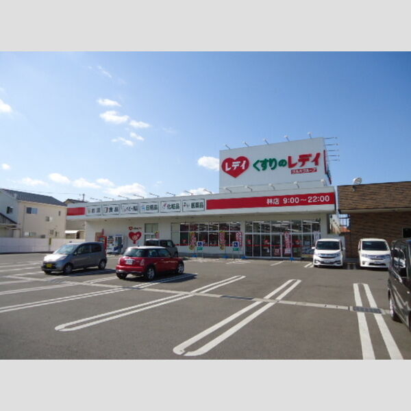 現地周辺 (くすりのレディ林店(761m))