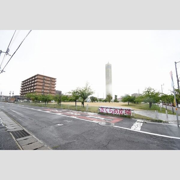 現地周辺 (さくらの広場)