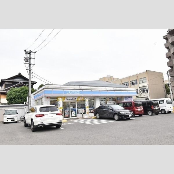 現地周辺 (ローソン丸亀土器町西五丁目店)