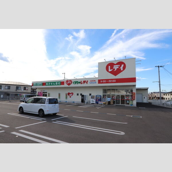 現地周辺 (レディ薬局高松仏生山店)