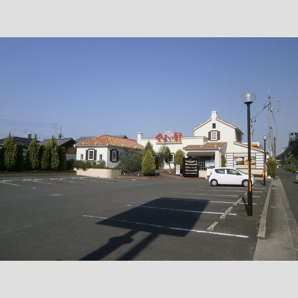 現地周辺 (やよい軒高松東バイパス店400m)