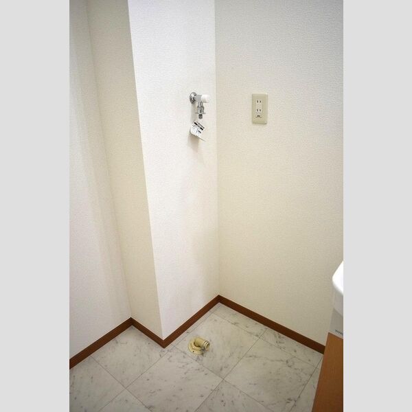 洗面所 (室内洗濯機置場)