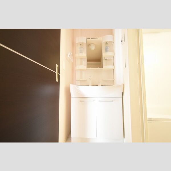 洗面所 (洗髪洗面化粧台)