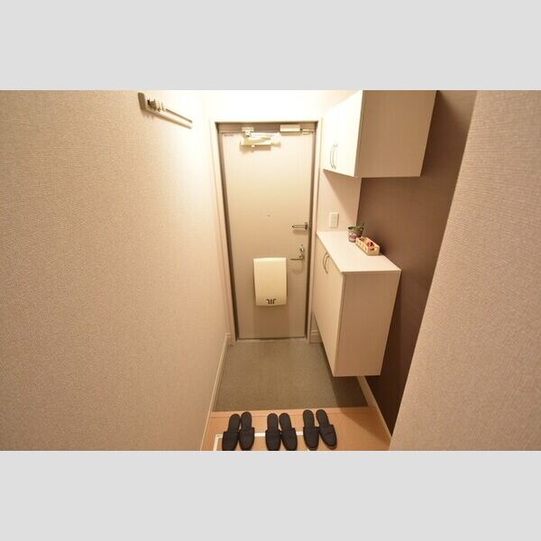 玄関 (玄関・シューズボックス(カウンタータイプ))