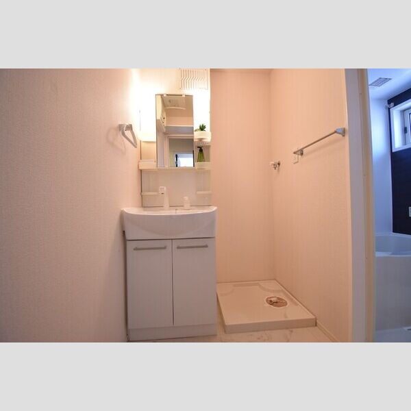 洗面所 (洗髪洗面化粧台・室内洗濯機置場)