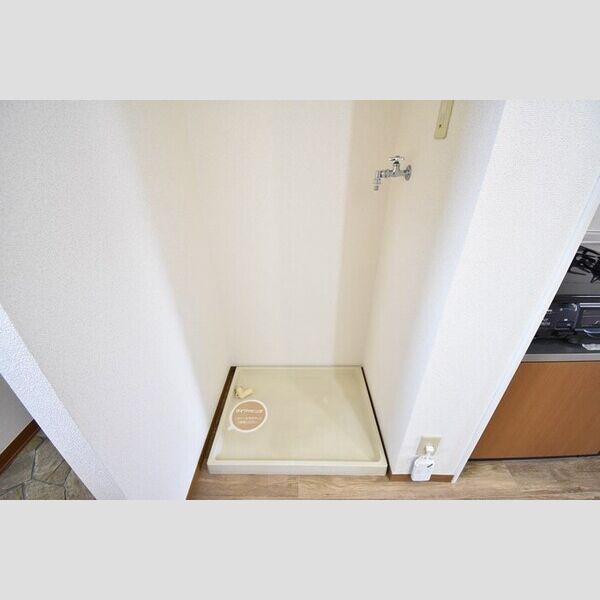 その他 (室内洗濯機置場)