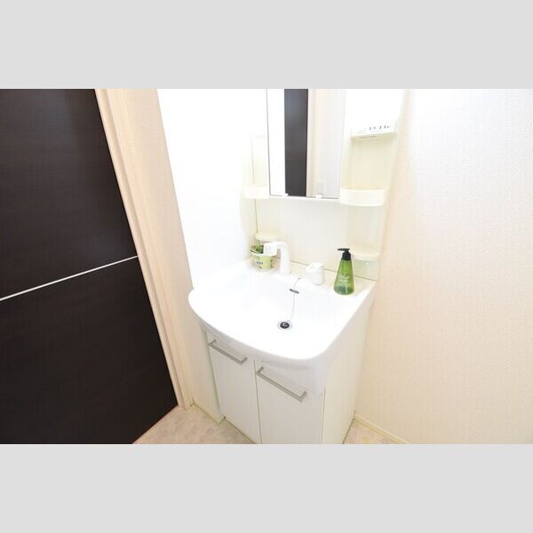 洗面所 (洗髪洗面化粧台)