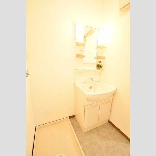 洗面所 (洗髪洗面化粧台・室内洗濯機置場)