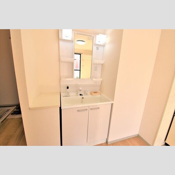 洗面所 (洗髪洗面化粧台)