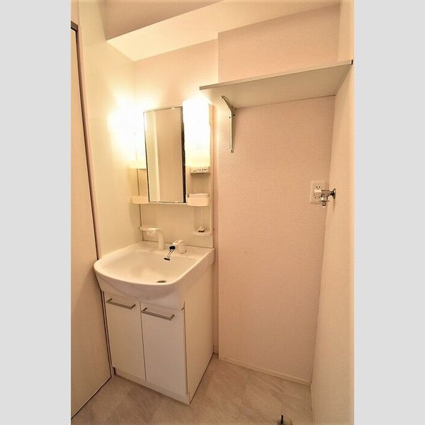 洗面所 (洗髪洗面化粧台・室内洗濯機置場)