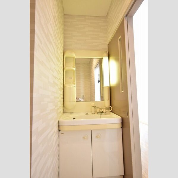 洗面所 (洗髪洗面化粧台)