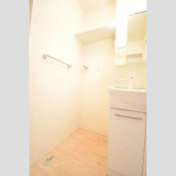 その他 (室内洗濯機置場)