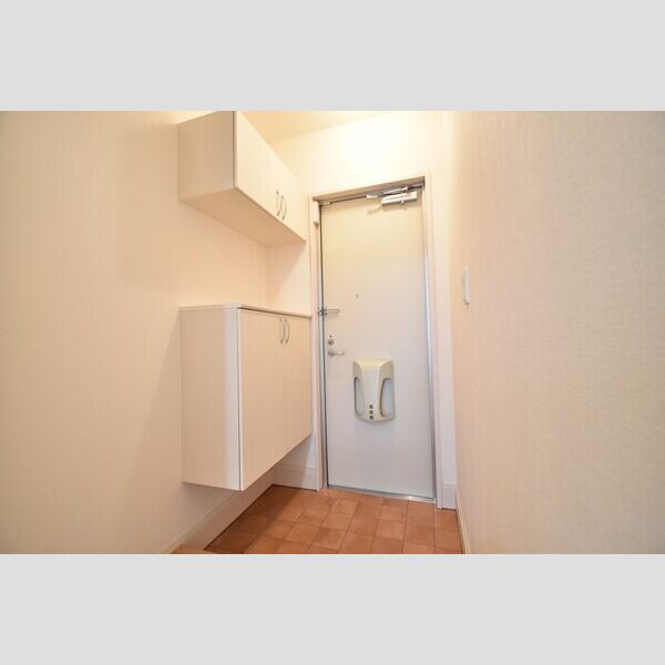 玄関 (玄関・シューズボックス(カウンタータイプ))