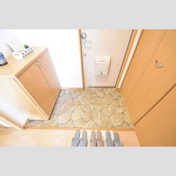 玄関 (シューズボックス(カウンタータイプ))