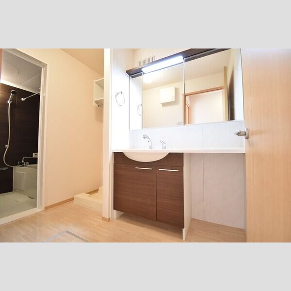 洗面所 (洗髪洗面化粧台)
