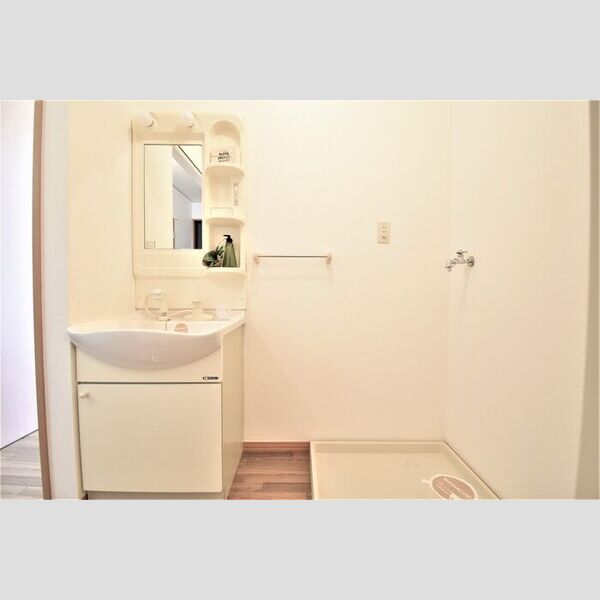 洗面所 (洗髪洗面化粧台・室内洗濯機置場)