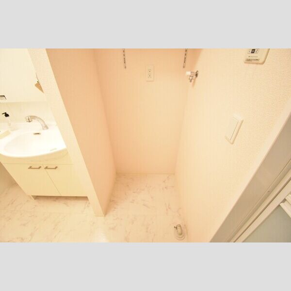 その他 (室内洗濯機置場)