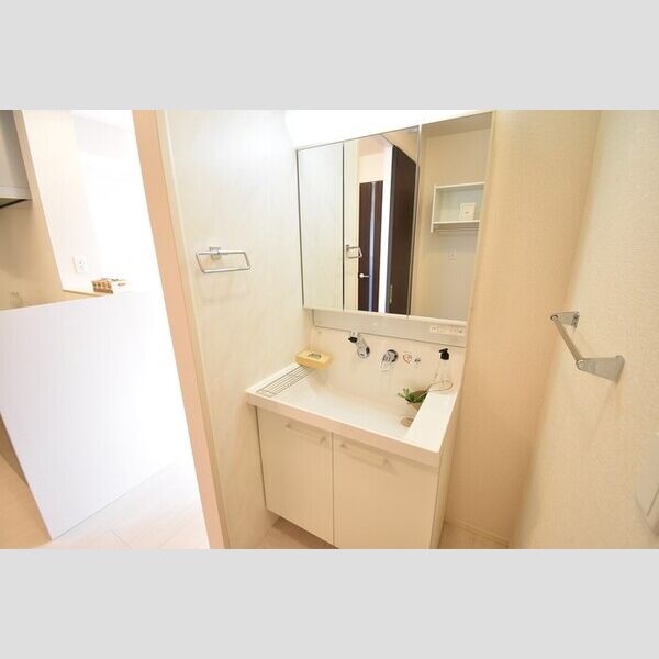 洗面所 (洗髪洗面化粧台)