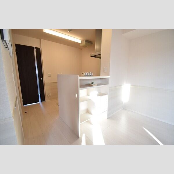 収納 (カウンター下棚)