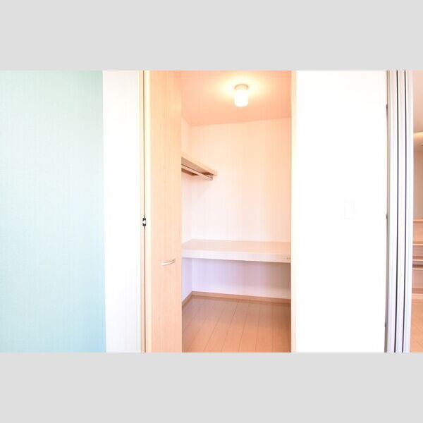 収納 (ウォークインクローゼット)