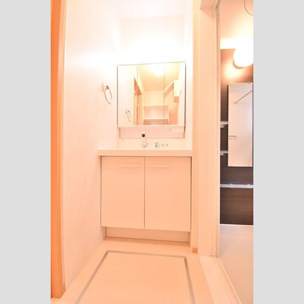 洗面所 (洗髪洗面化粧台)