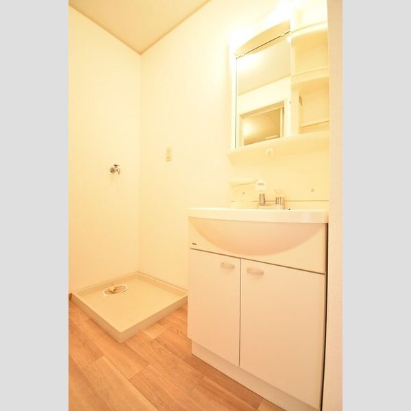 洗面所 (洗髪洗面化粧台・室内洗濯機置場)