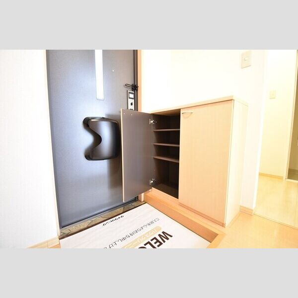 玄関 (シューズボックス(カウンタータイプ))