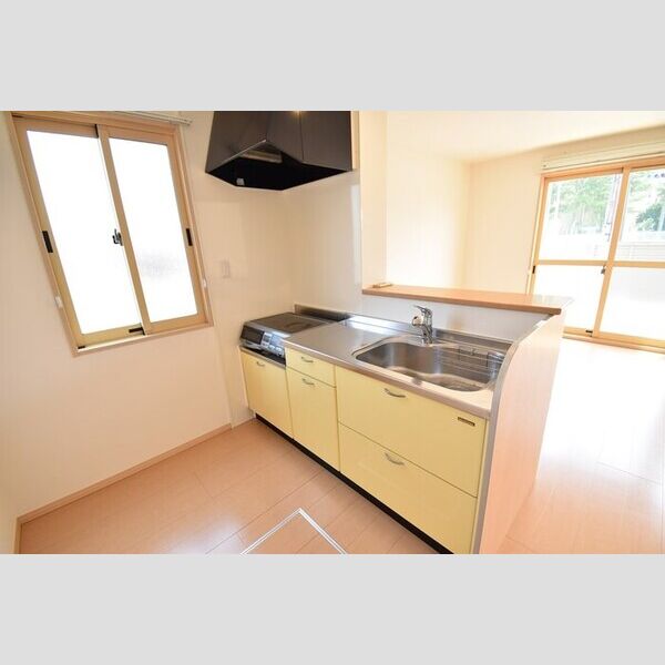 キッチン (2口IHコンロ付きキッチン)