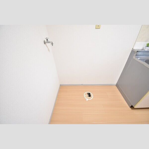 その他 (室内洗濯機置場)