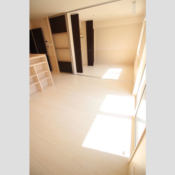 居室・リビング (LDK11帖、東洋室4.5帖)