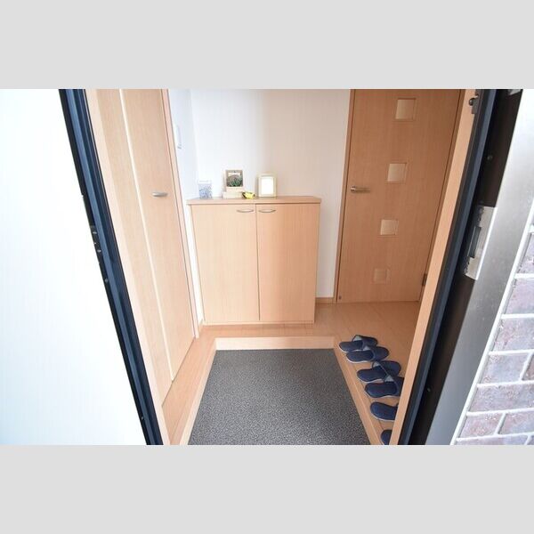 玄関 (玄関・シューズボックス(カウンタータイプ))