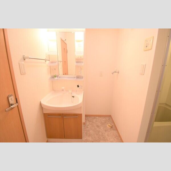 洗面所 (洗髪洗面化粧台・室内洗濯機置場)