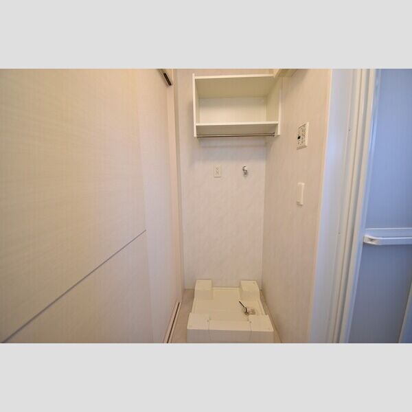 その他 (室内洗濯機置場)