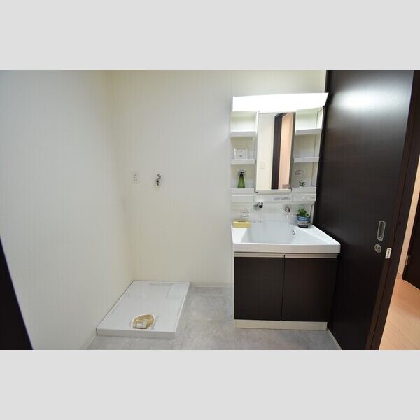 洗面所 (洗髪洗面化粧台・室内洗濯機置場)