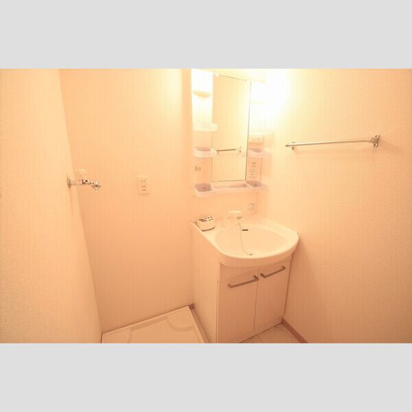 洗面所 (洗髪洗面化粧台)