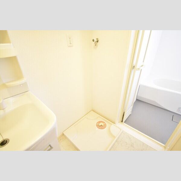 洗面所 (室内洗濯機置場)