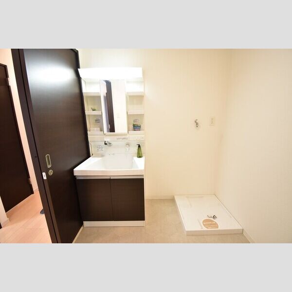 洗面所 (洗髪洗面化粧台・室内洗濯機置場)