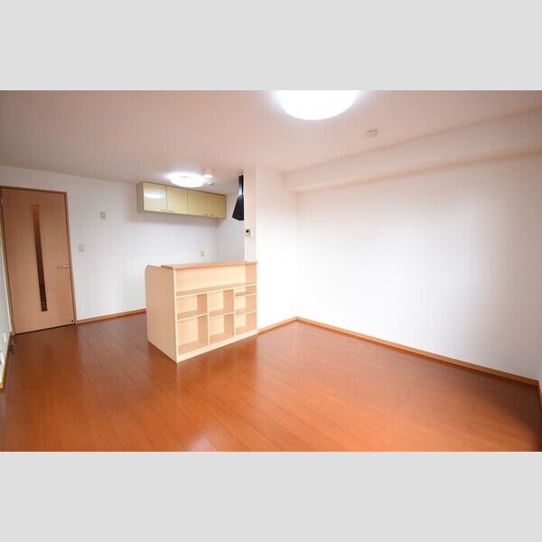 居室・リビング (LDK12帖)